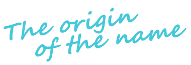 名前の由来